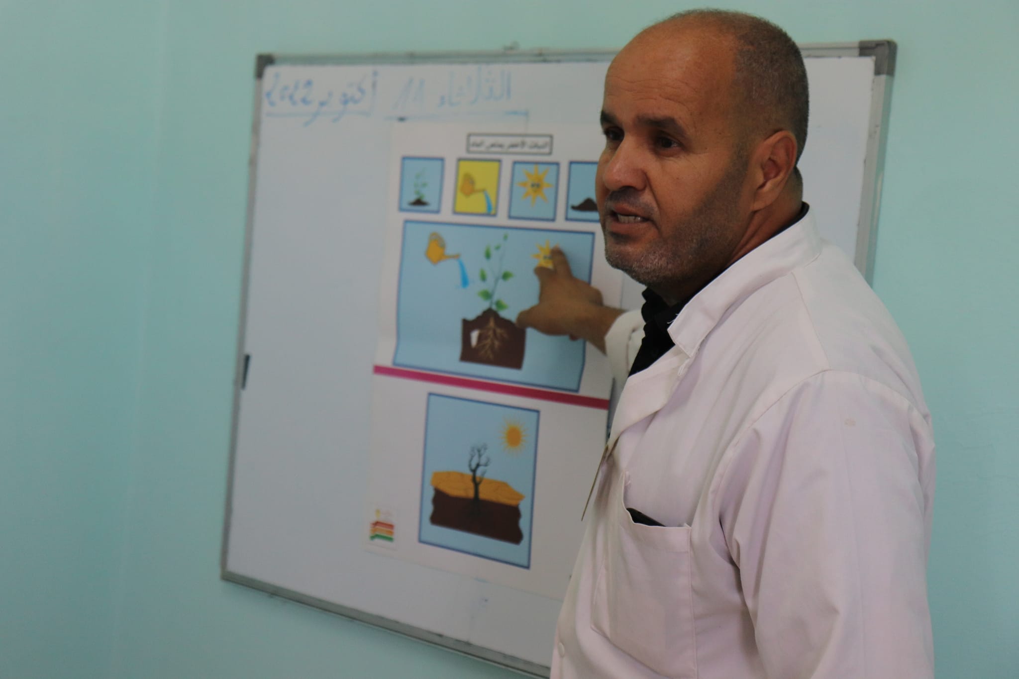 308837470 420612660241246 8324279505138785184 n